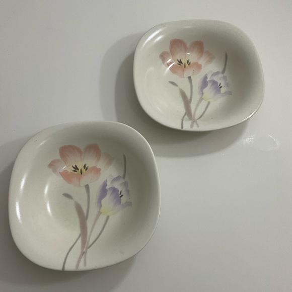 Mikasa Other - Mikasa Natural Beauty CT077 FootLoose Japan salad/cereal bowl set of 2